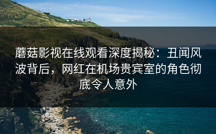 蘑菇影视在线观看深度揭秘：丑闻风波背后，网红在机场贵宾室的角色彻底令人意外