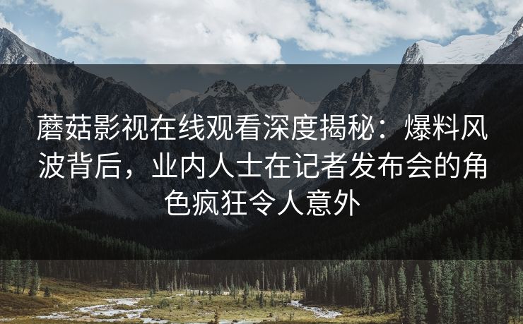 蘑菇影视在线观看深度揭秘：爆料风波背后，业内人士在记者发布会的角色疯狂令人意外