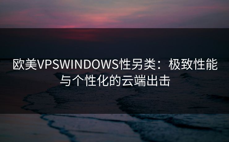 欧美VPSWINDOWS性另类:极致性能与个性化的云端出击