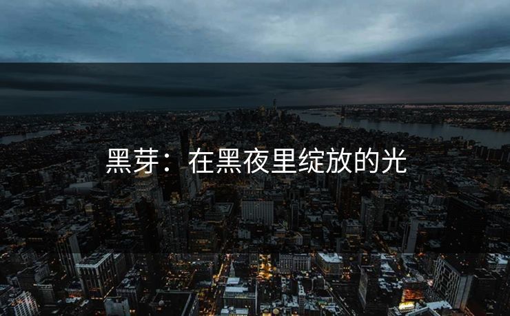 黑芽:在黑夜里绽放的光