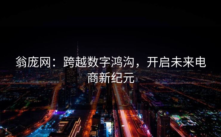 翁庞网:跨越数字鸿沟,开启未来电商新纪元