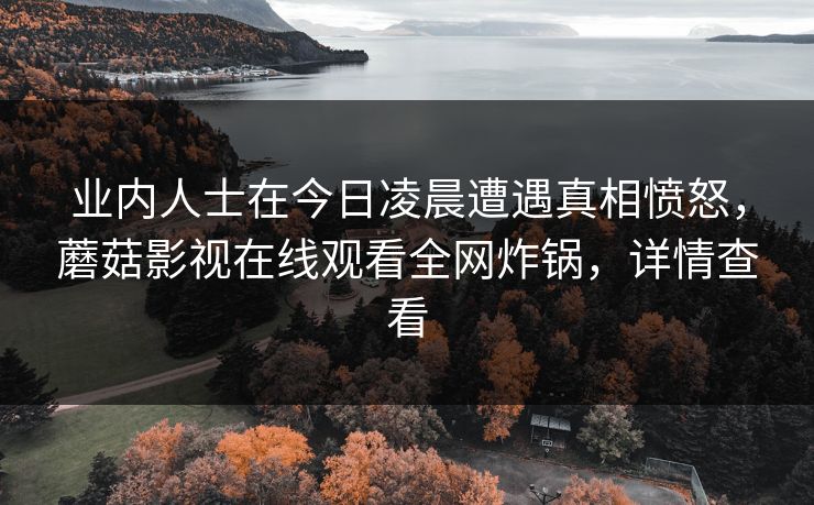 业内人士在今日凌晨遭遇真相愤怒，蘑菇影视在线观看全网炸锅，详情查看