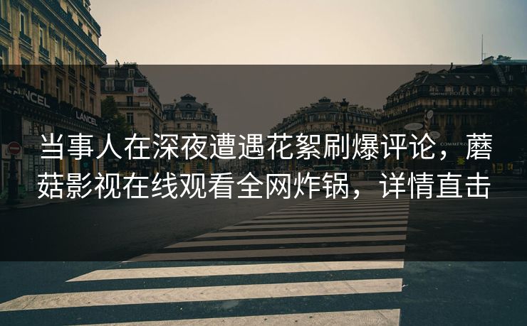 当事人在深夜遭遇花絮刷爆评论，蘑菇影视在线观看全网炸锅，详情直击