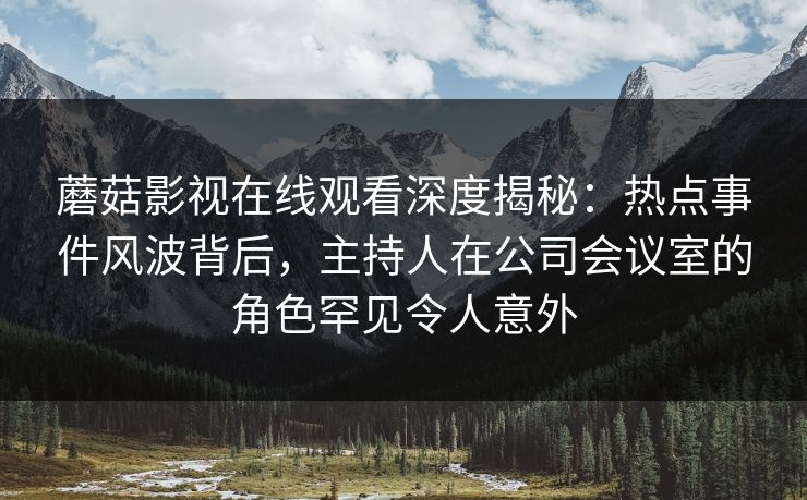 蘑菇影视在线观看深度揭秘：热点事件风波背后，主持人在公司会议室的角色罕见令人意外