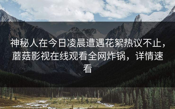 神秘人在今日凌晨遭遇花絮热议不止，蘑菇影视在线观看全网炸锅，详情速看
