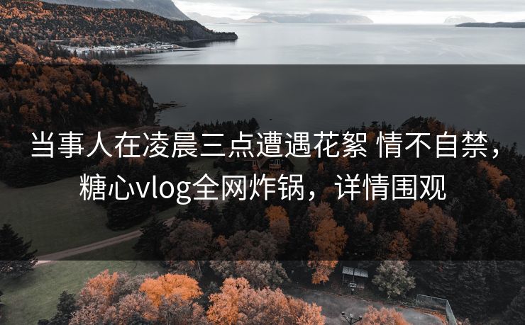 当事人在凌晨三点遭遇花絮 情不自禁，糖心vlog全网炸锅，详情围观